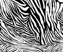 Zebra Desen Duvar Kağıdı